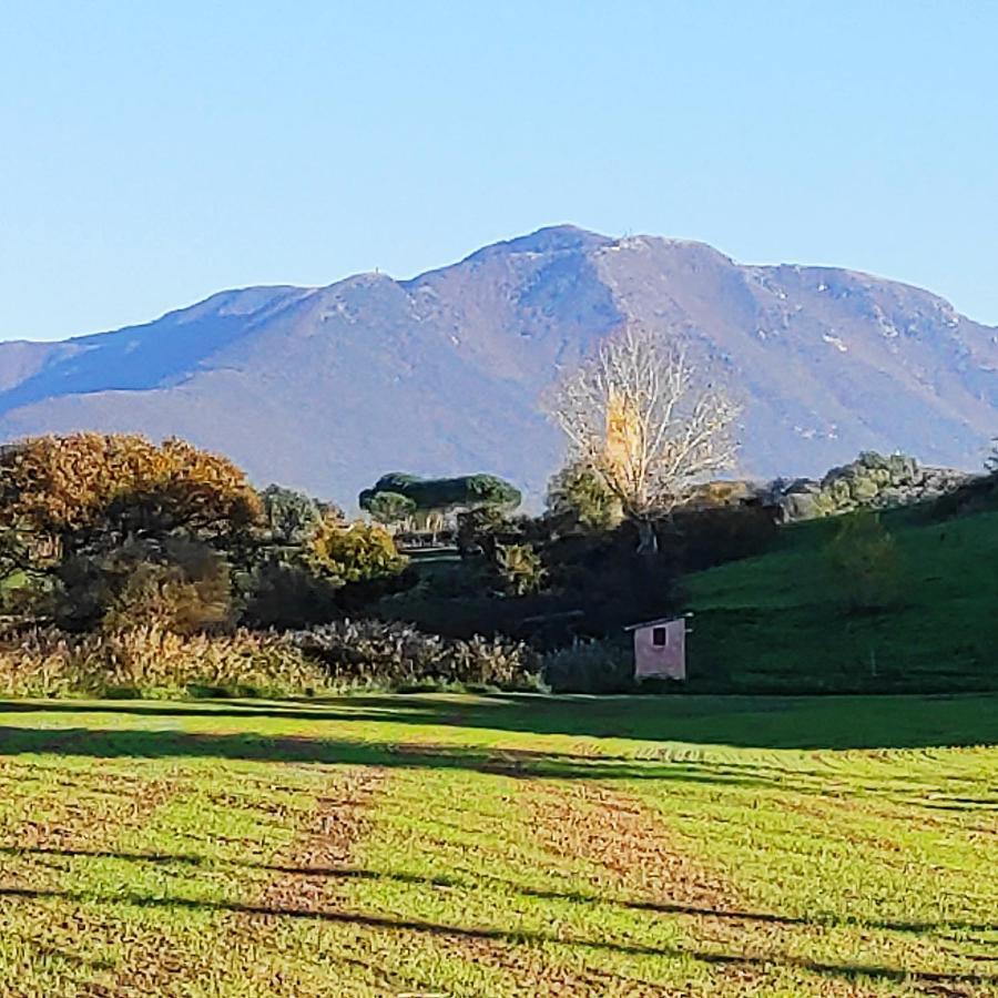 Il Ciliegio Vila Palombara Sabina Exterior foto