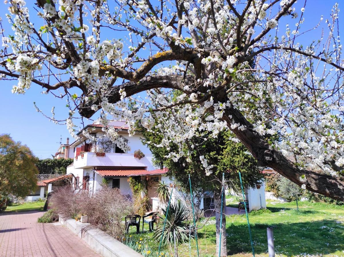 Il Ciliegio Vila Palombara Sabina Exterior foto